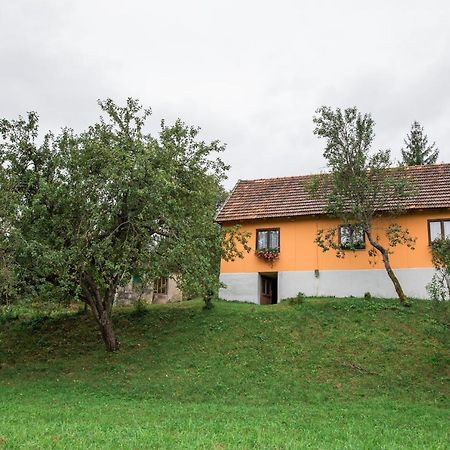Apartamento Kuca Za Odmor Jagnjic Josipdol Exterior foto