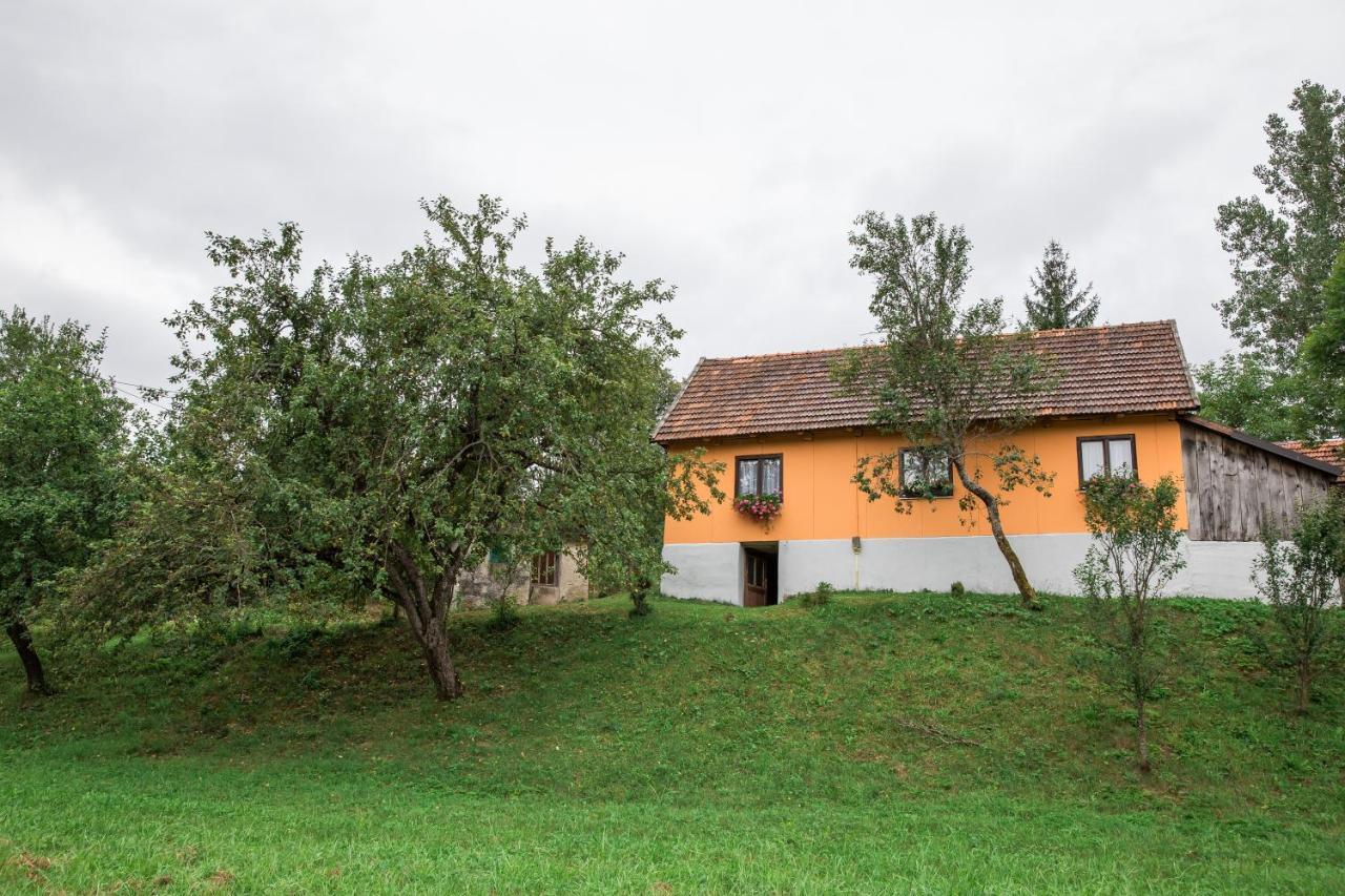 Apartamento Kuca Za Odmor Jagnjic Josipdol Exterior foto